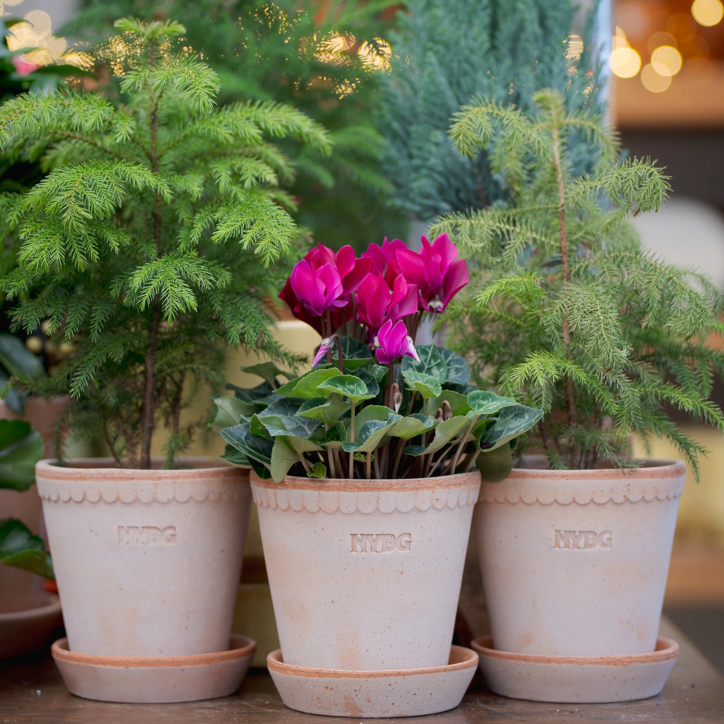nebel plant pot NYBG X BERGS POTTER Helena / Grey / 14cm