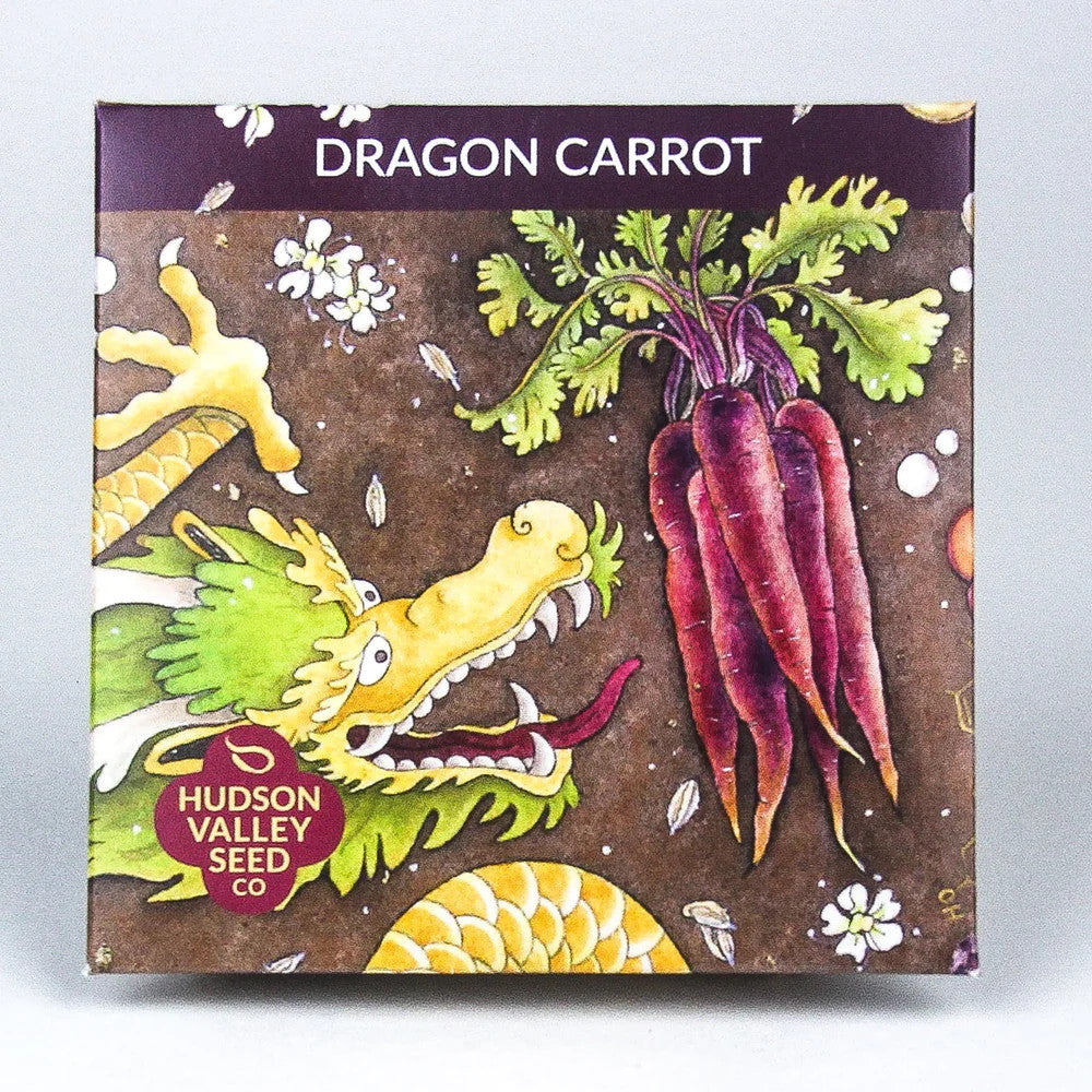 Hudson Valley Seed Library - Dragon Carrot