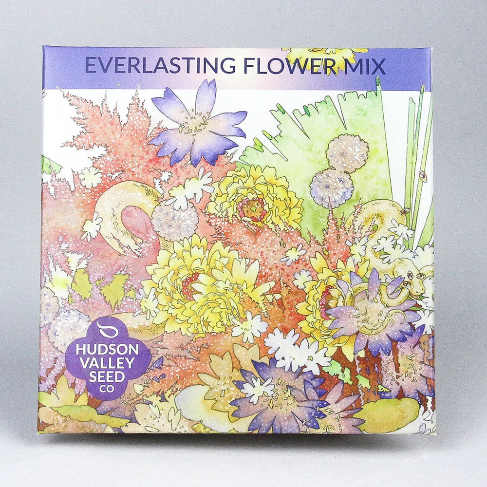 Everlasting Flower Mix