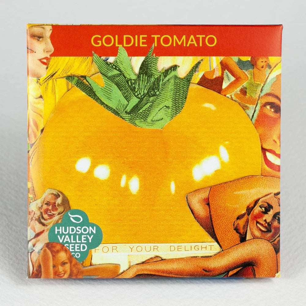 
                  
                    Hudson Valley Seed Library - Goldie Tomato
                  
                