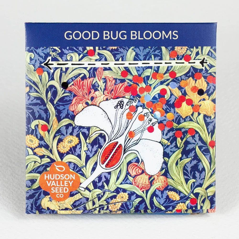 Hudson Valley Seed Co. Good Bug Blooms - Thumbnail 2
