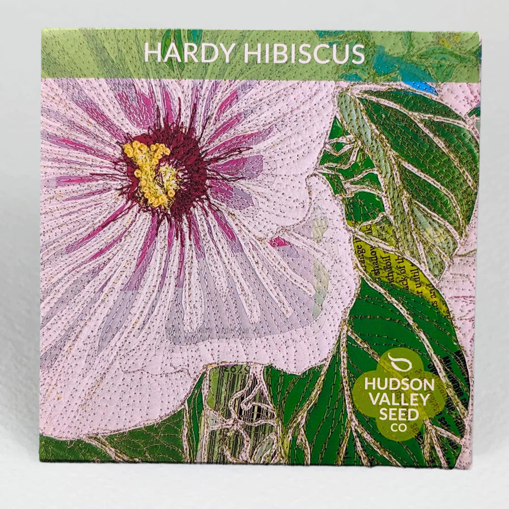 
                  
                    Hudson Valley Seed Library - Hardy Hibiscus
                  
                