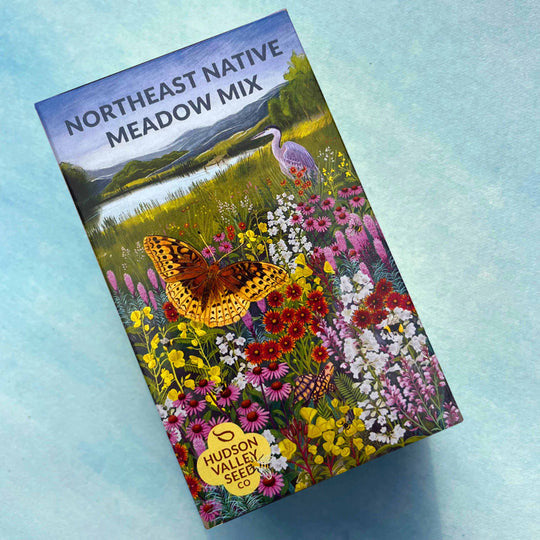 Northeast Native Wildflower Mix Seed Shaker | Hudson Valley Seed