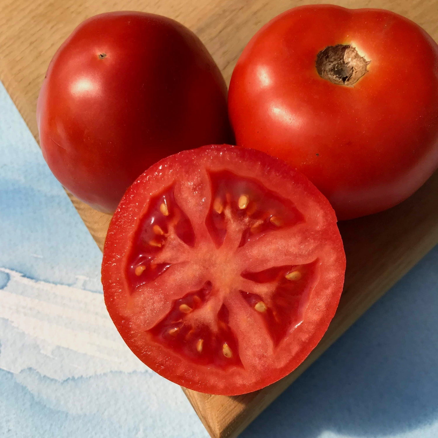 Jersey Breeze Tomato | Hudson Valley Seed Co – NYBG SHOP