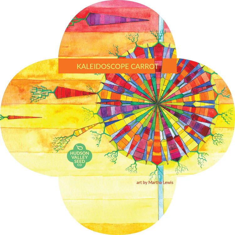 Kaleidoscope Carrot - Thumbnail 4
