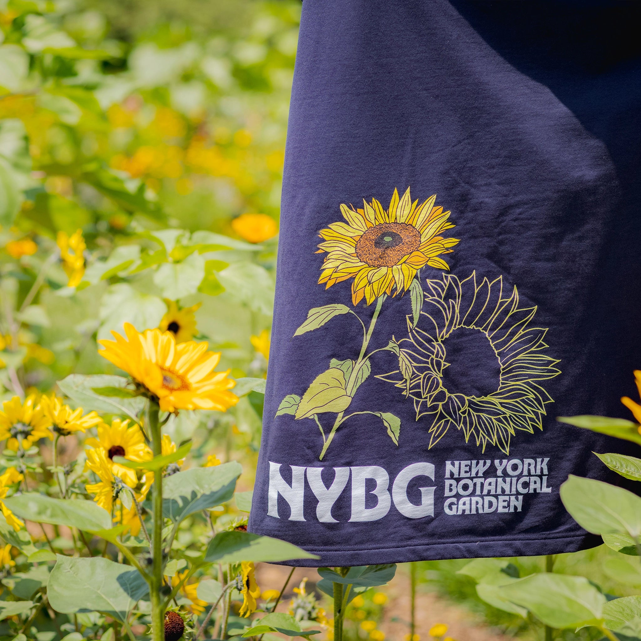 NYBG Sunflower Blanket - Thumbnail 4