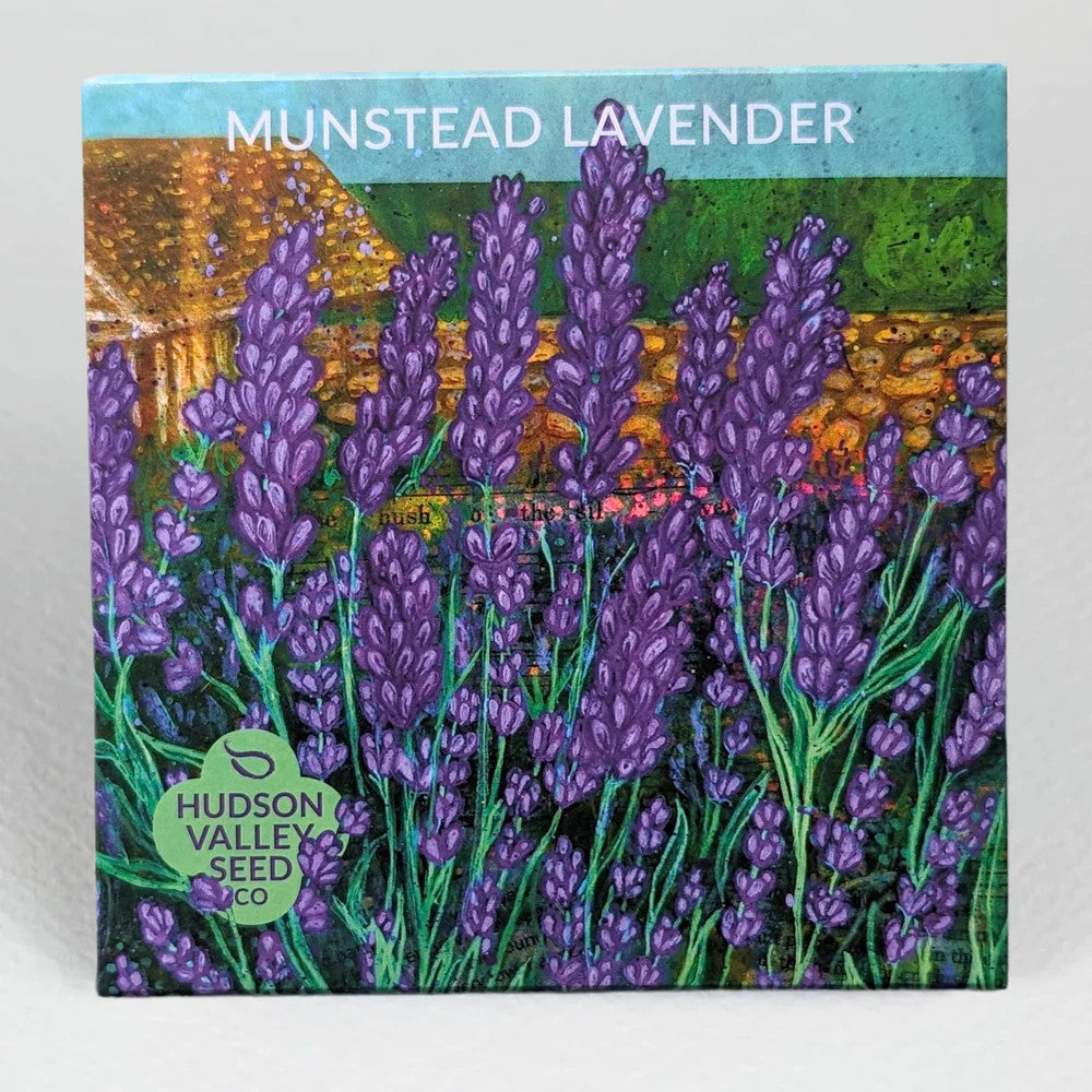Hudson Valley Seed Co. Munstead Lavender Seeds