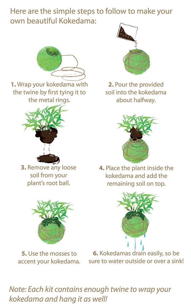 Original Kokedama Kit 6 in