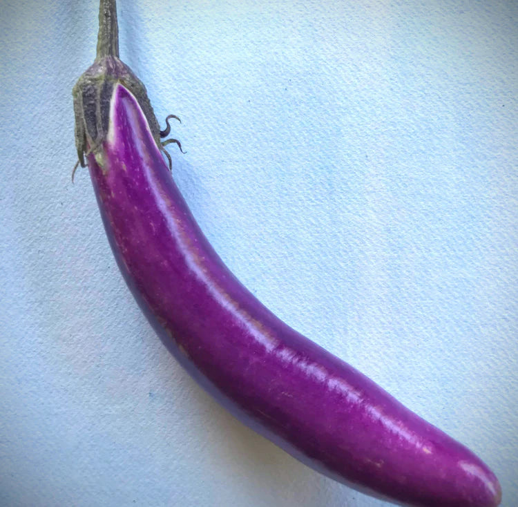 Hudson Valley Seed Co. Ping Tung Eggplant - Thumbnail 2