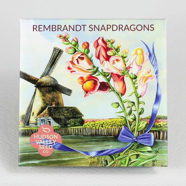 Hudson Valley Seed Library - Rembrandt Snapdragons