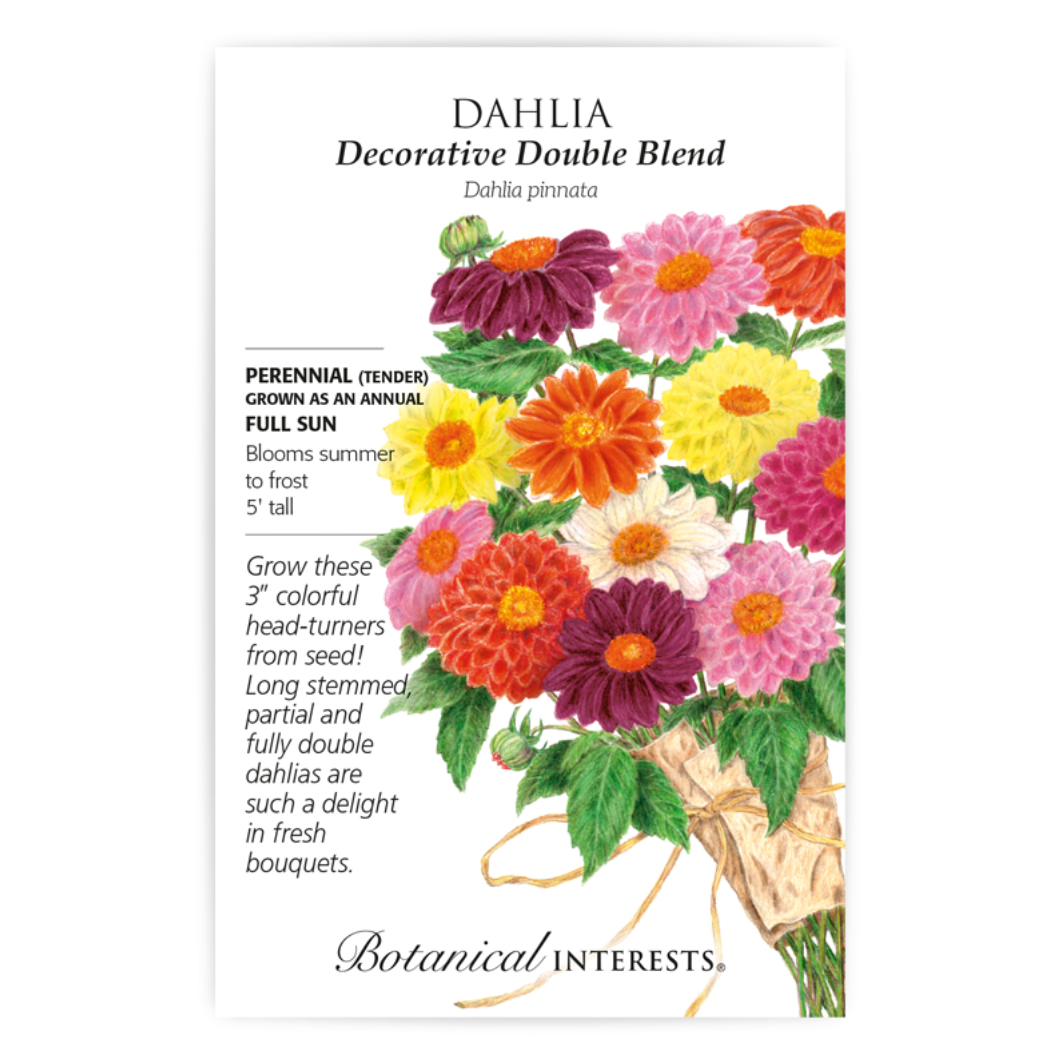 Botanical Interests - Dahlia Decorative Double Blend Seeds