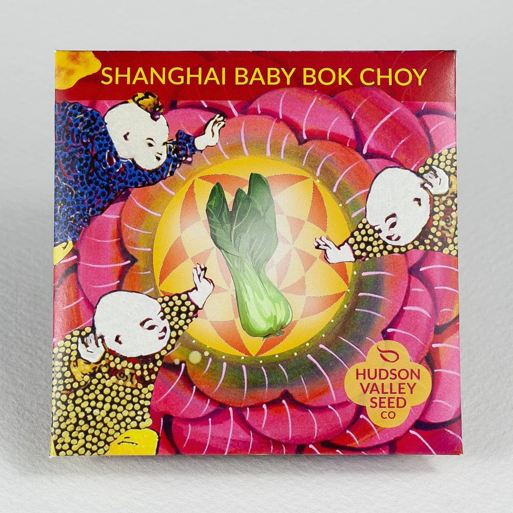 
                  
                    Hudson Valley Seed Library - Shanghai Baby Bok Choy
                  
                