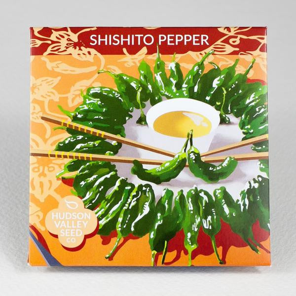 Hudson Valley Seed Co. Shishito Pepper Seeds - Thumbnail 4