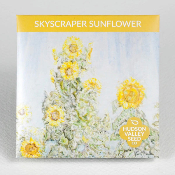 sunflower専用 Skyscraper Sunflower Seed [LS21442] - $6.12 : Flower Seeds