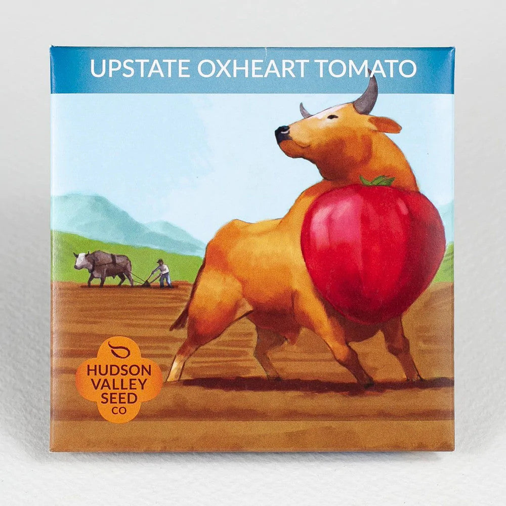 Hudson Valley Seed Library - Upstate Oxheart Tomato
