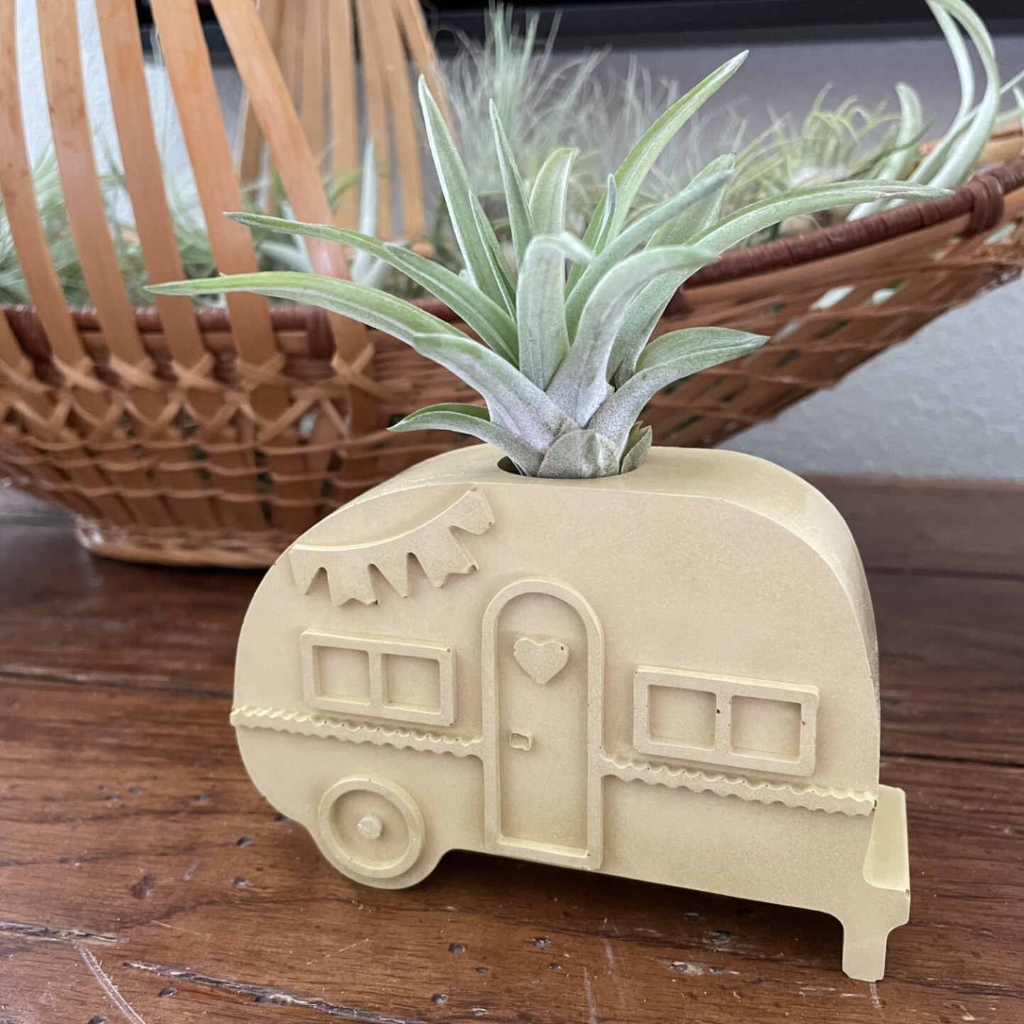 pineapple air plant holder The Adventurer|Air Plant Holder Tangerine