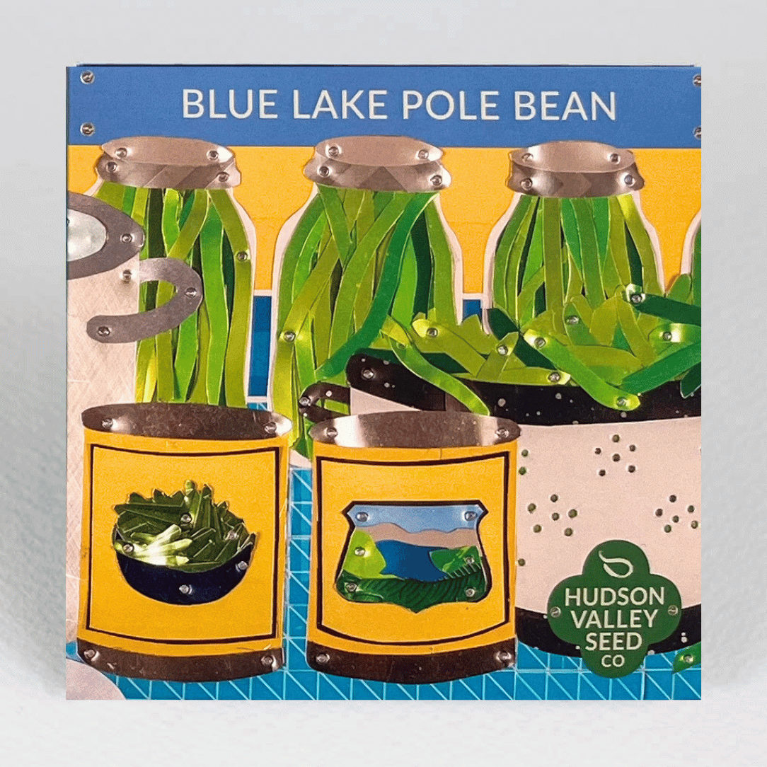 Blue Lake Pole Bean