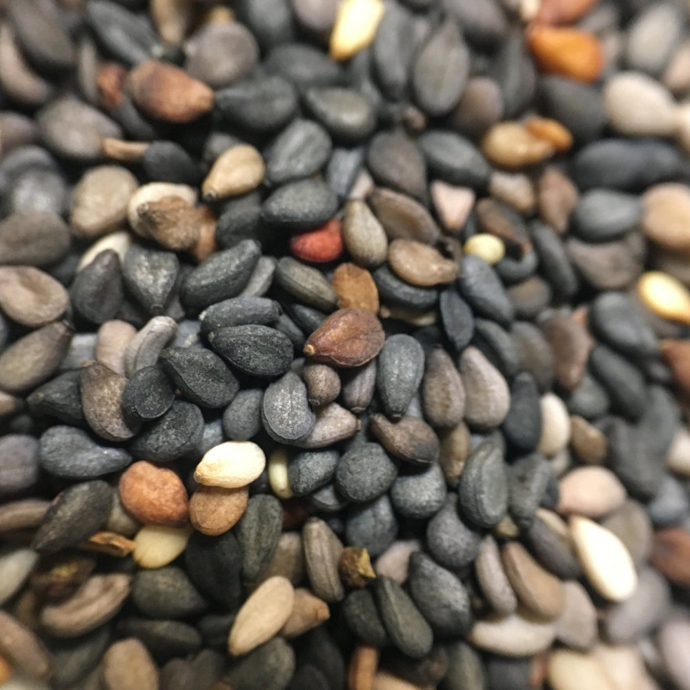 
                  
                    True Love Seeds - Blue Sesame
                  
                