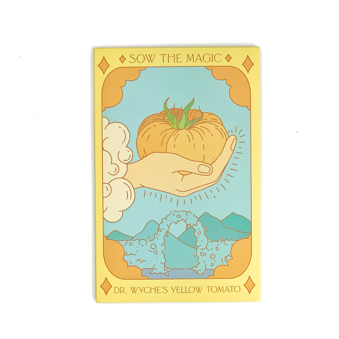 Sow the Magic Dr. Wyche's Tomato Seeds - Thumbnail 5