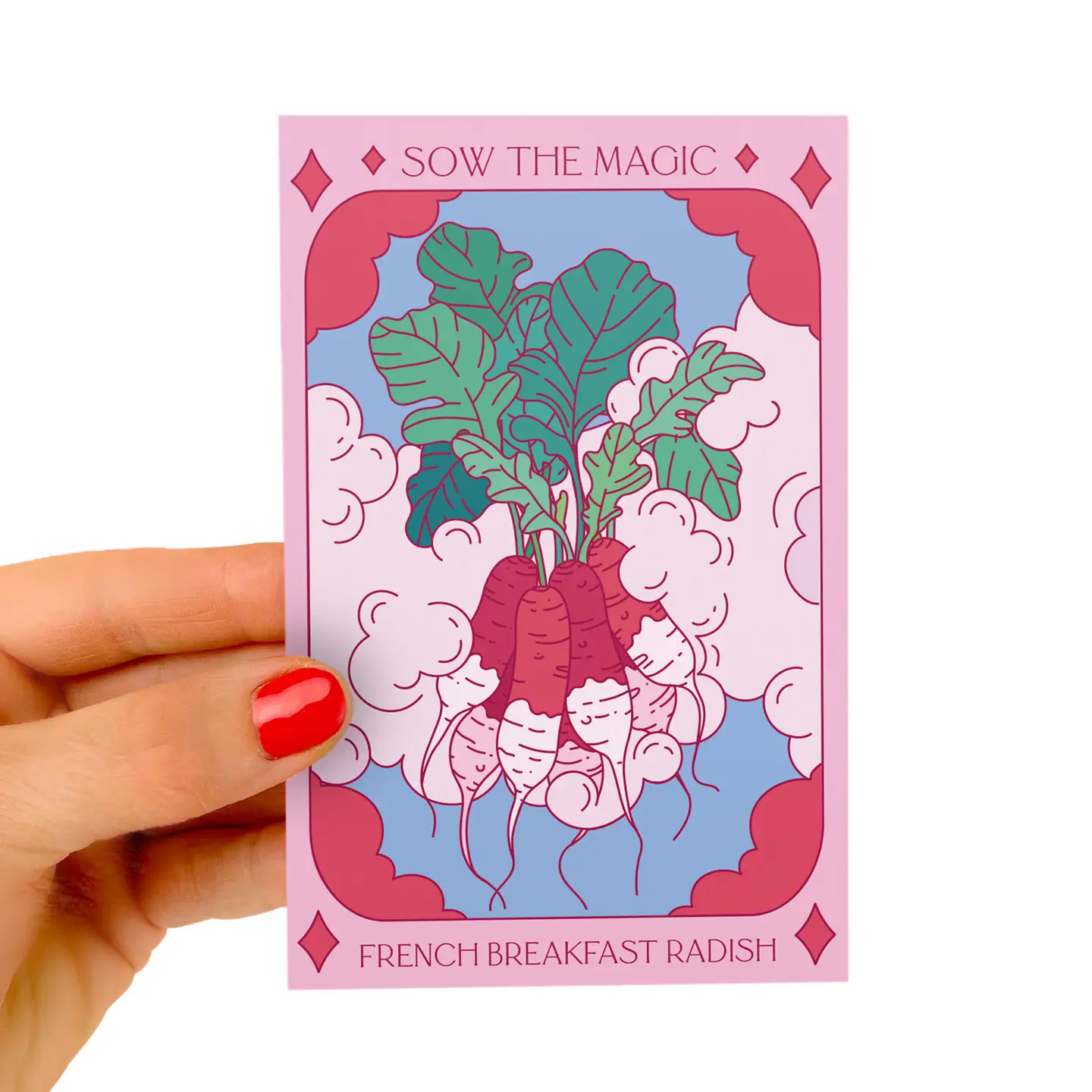 Sow the Magic French Breakfast Radish Seeds - Thumbnail 5