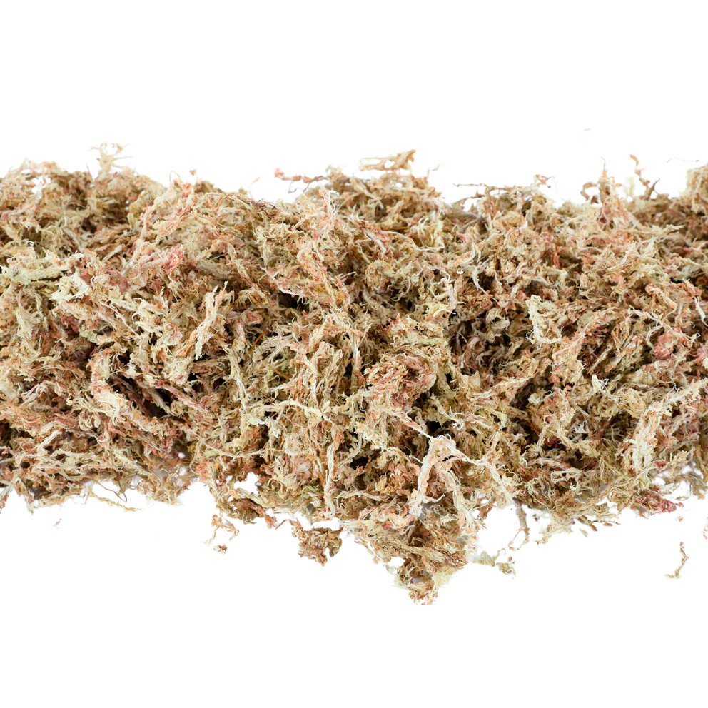 Mossify Sphagnum Moss - Thumbnail 4