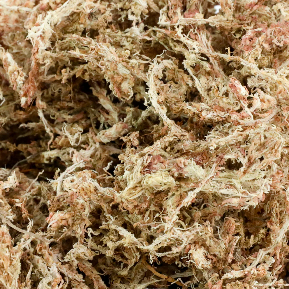 Mossify Sphagnum Moss - Thumbnail 3