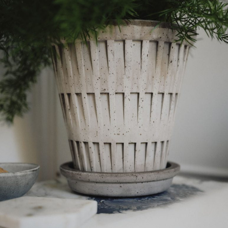 Pantheon | Bergs Potter – NYBG SHOP