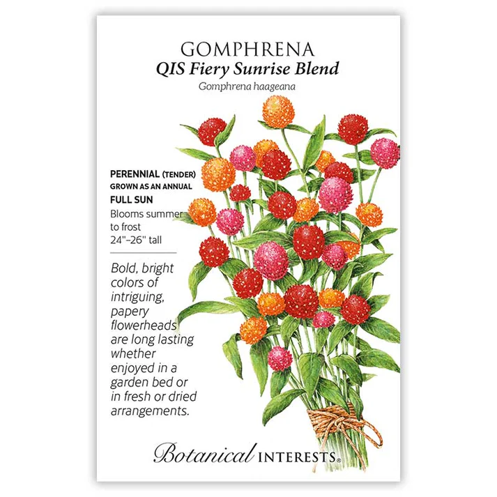 Botanical Interests Gomphrena