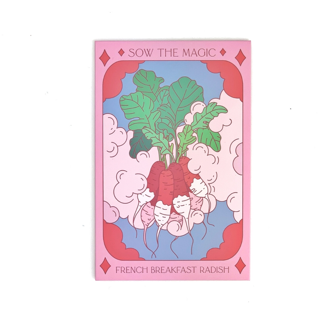 Sow the Magic French Breakfast Radish Seeds - Thumbnail 3