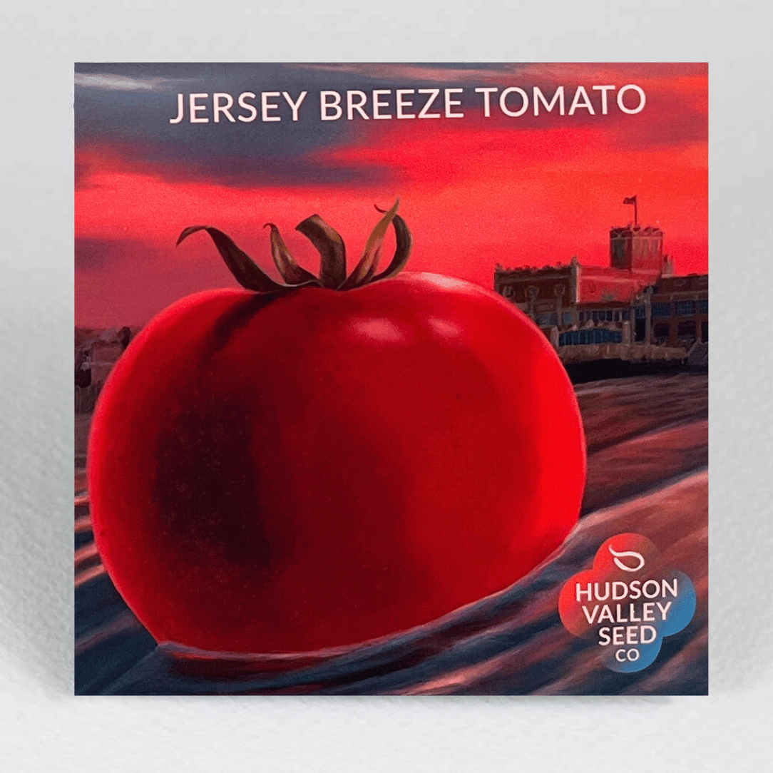 Jersey Breeze Tomato | Hudson Valley Seed Co – NYBG SHOP Jersey Breeze Tomato | Hudson Valley Seed Co – NYBG SHOP