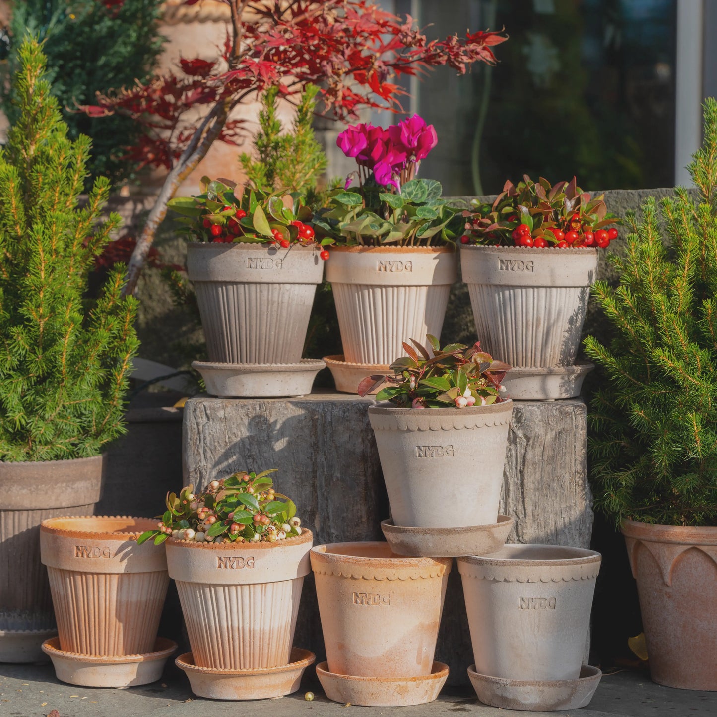 where to buy plant pots nyc NYBG X BERGS POTTER Helena / Grey / 14cm