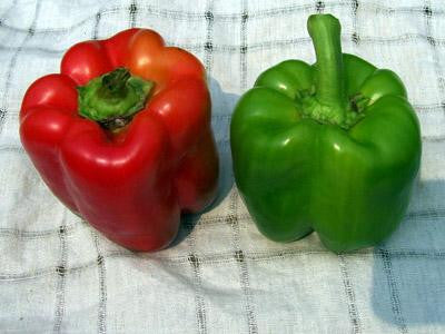
                  
                    Southern Exposure Seed Exchange - Keystone Resistant Giant Sweet Bell Pepper
                  
                