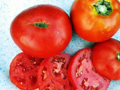 Southern Exposure Seed Exchange - Mountaineer Delight Tomato
